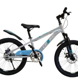 BMX 20 GREY.LIGHTBLUE